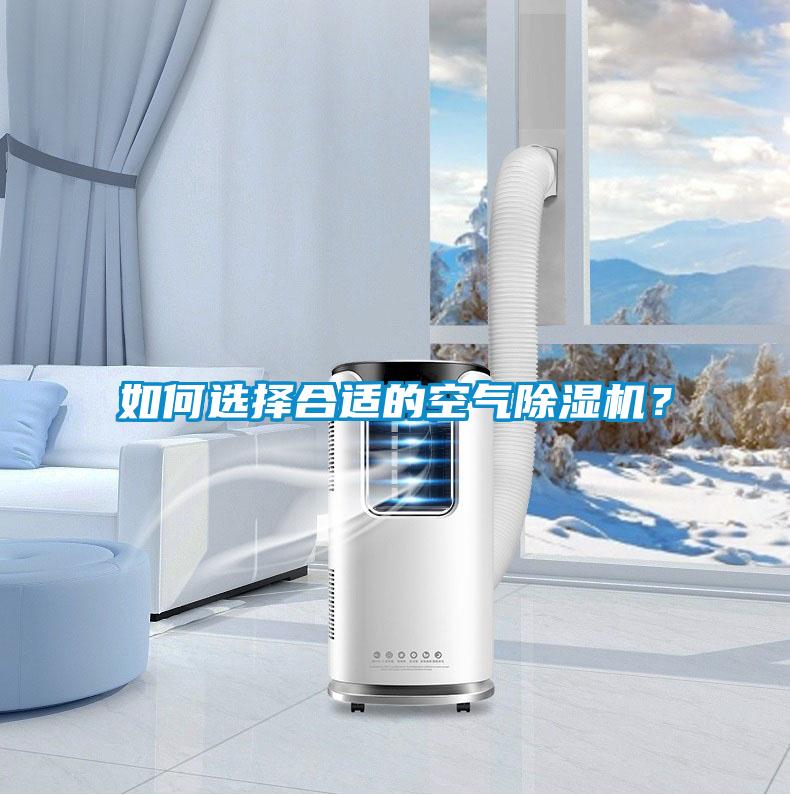 如何選擇合適的空氣除濕機？