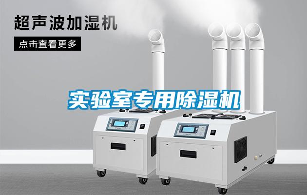 實驗室專用除濕機(jī)