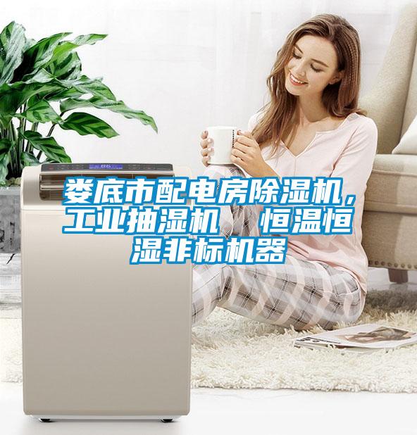 婁底市配電房除濕機(jī)，工業(yè)抽濕機(jī)  恒溫恒濕非標(biāo)機(jī)器