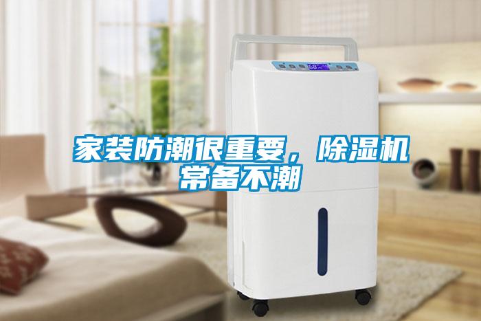 家裝防潮很重要，除濕機常備不潮