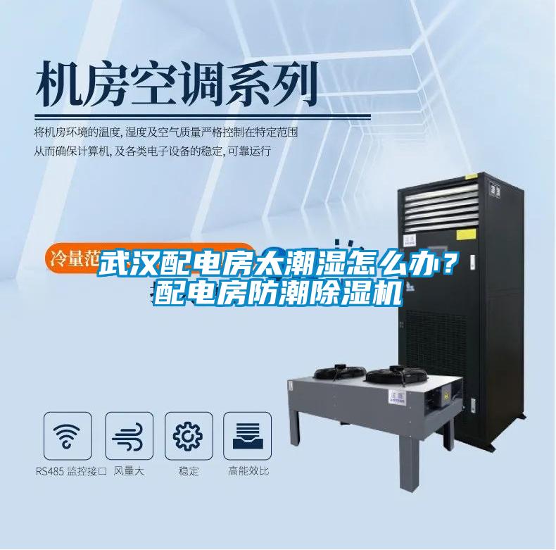 武漢配電房太潮濕怎么辦？配電房防潮除濕機(jī)