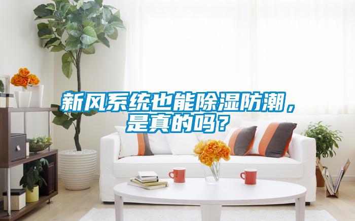 新風系統也能除濕防潮，是真的嗎？