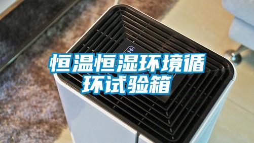 恒溫恒濕環(huán)境循環(huán)試驗箱