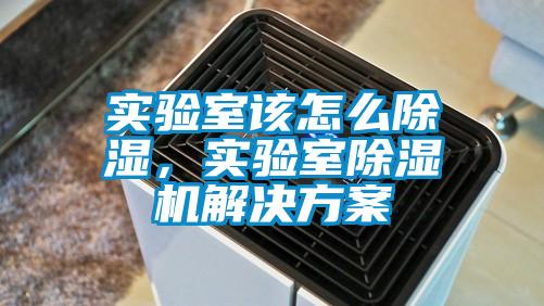 實(shí)驗(yàn)室該怎么除濕，實(shí)驗(yàn)室除濕機(jī)解決方案