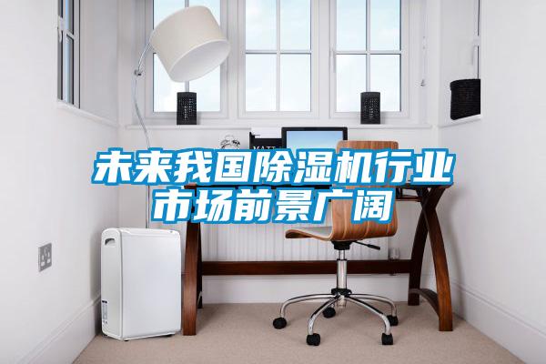 未來(lái)我國(guó)除濕機(jī)行業(yè)市場(chǎng)前景廣闊