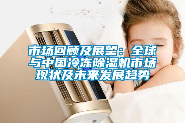 市場(chǎng)回顧及展望：全球與中國(guó)冷凍除濕機(jī)市場(chǎng)現(xiàn)狀及未來(lái)發(fā)展趨勢(shì)