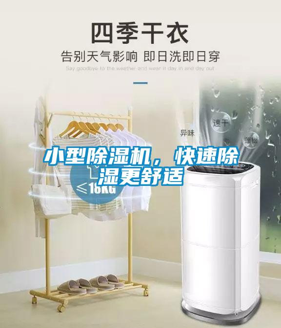 小型除濕機，快速除濕更舒適
