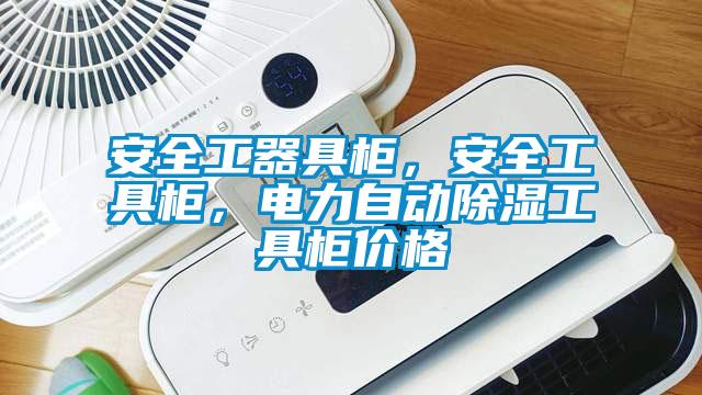 安全工器具柜，安全工具柜，電力自動除濕工具柜價格