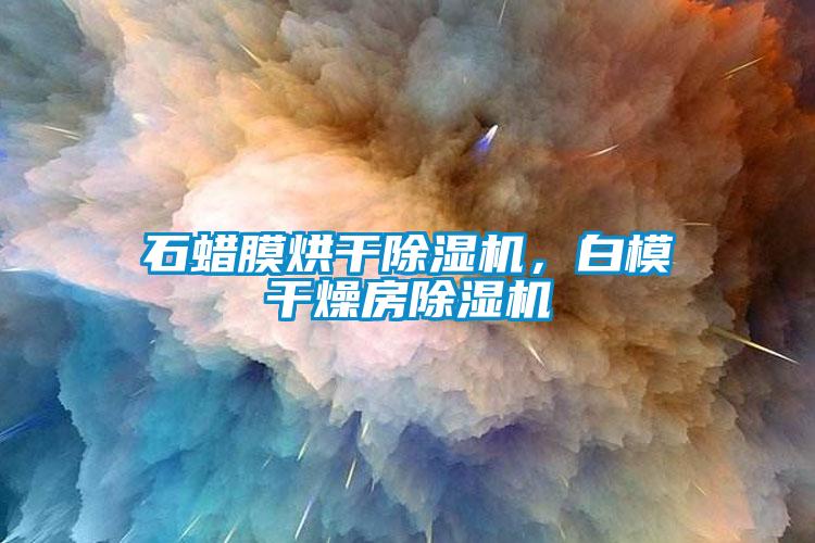 石蠟膜烘干除濕機，白模干燥房除濕機