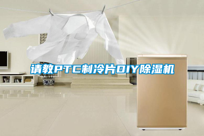 請教PTC制冷片DIY除濕機(jī)