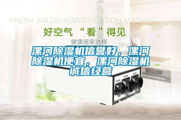 漯河除濕機信譽好，漯河除濕機便宜，漯河除濕機誠信經營