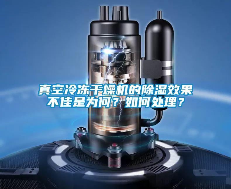 真空冷凍干燥機的除濕效果不佳是為何？如何處理？