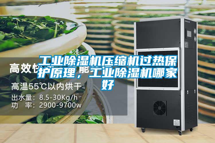 工業除濕機壓縮機過熱保護原理，工業除濕機哪家好