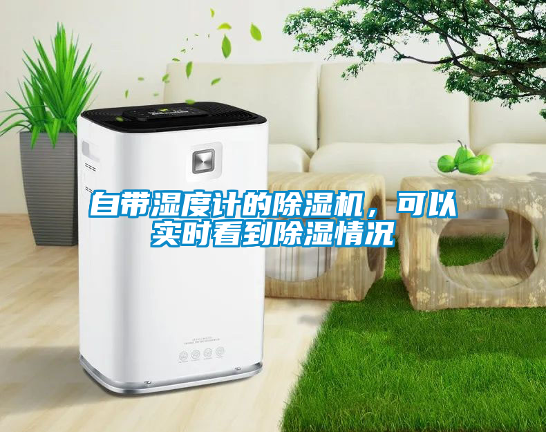 自帶濕度計的除濕機，可以實時看到除濕情況