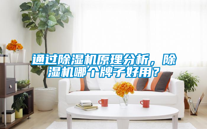 通過除濕機(jī)原理分析，除濕機(jī)哪個牌子好用？