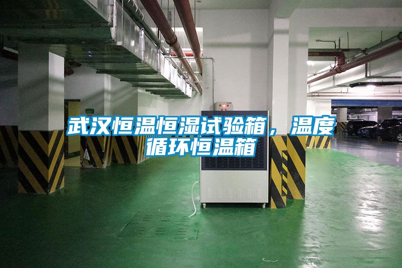 武漢恒溫恒濕試驗箱，溫度循環恒溫箱