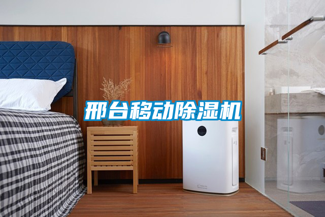 邢臺移動除濕機(jī)