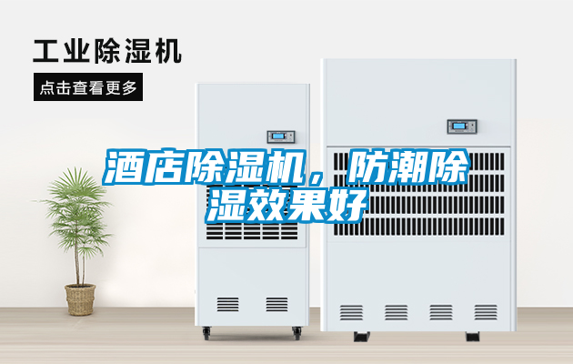 酒店除濕機，防潮除濕效果好