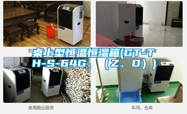 桌上型恒溫恒濕箱(GT-TH-S-64G、（Z、D）)