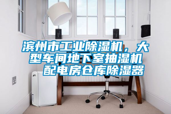 濱州市工業除濕機，大型車間地下室抽濕機  配電房倉庫除濕器