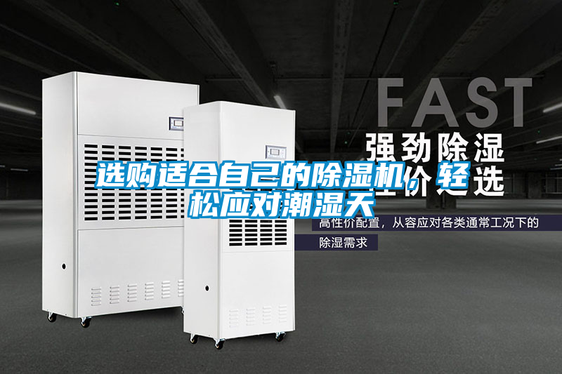 選購適合自己的除濕機，輕松應(yīng)對潮濕天