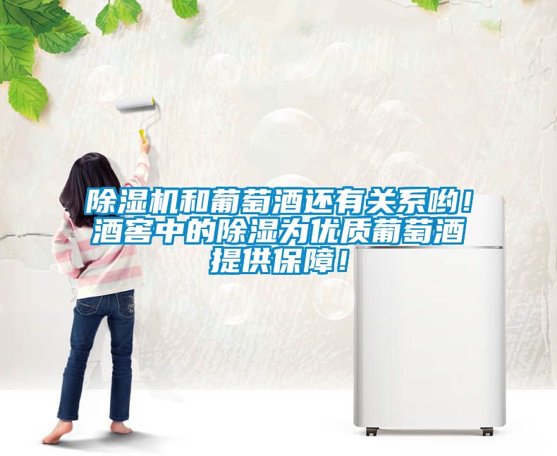 除濕機和葡萄酒還有關系喲！酒窖中的除濕為優質葡萄酒提供保障！