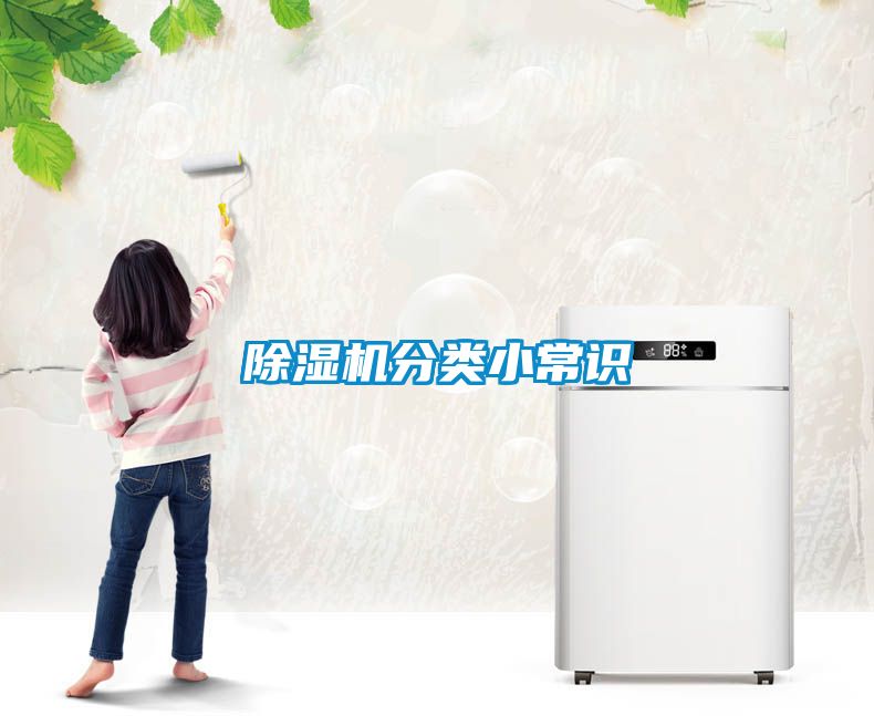 除濕機(jī)分類(lèi)小常識(shí)