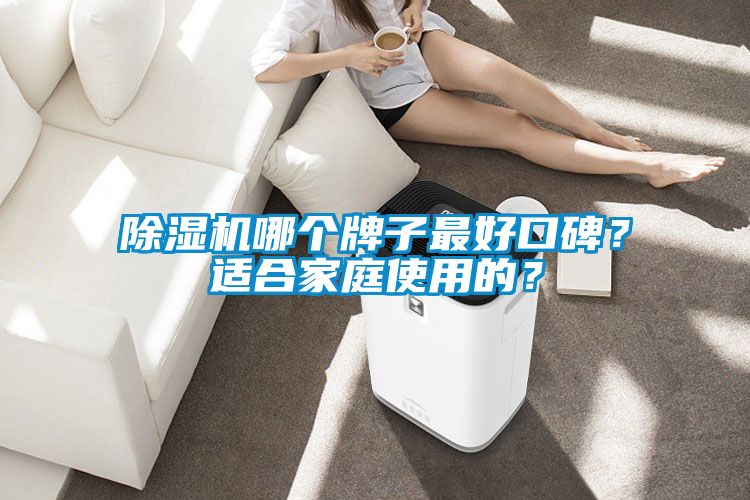 除濕機哪個牌子最好口碑？適合家庭使用的？