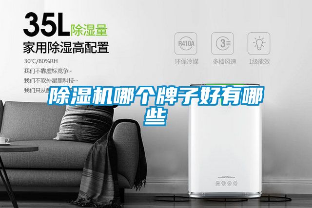 除濕機(jī)哪個牌子好有哪些