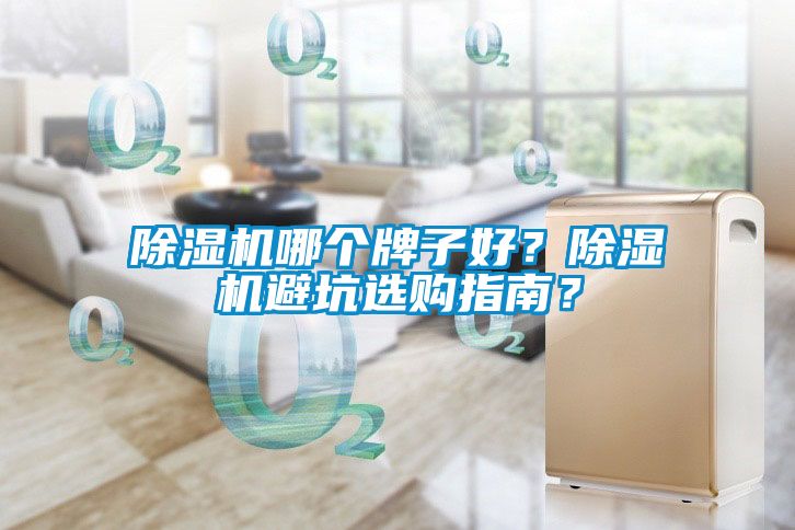 除濕機哪個牌子好？除濕機避坑選購指南？