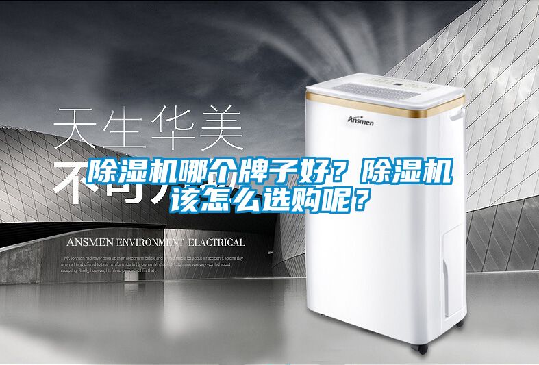 除濕機哪個牌子好？除濕機該怎么選購呢？