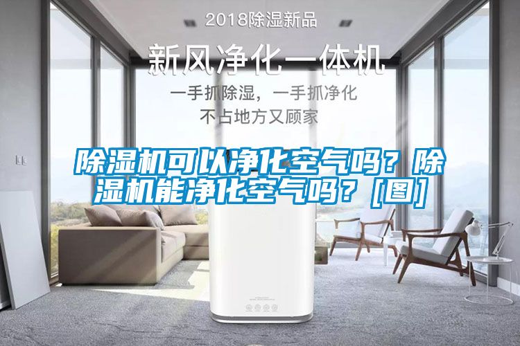 除濕機(jī)可以凈化空氣嗎？除濕機(jī)能凈化空氣嗎？[圖]