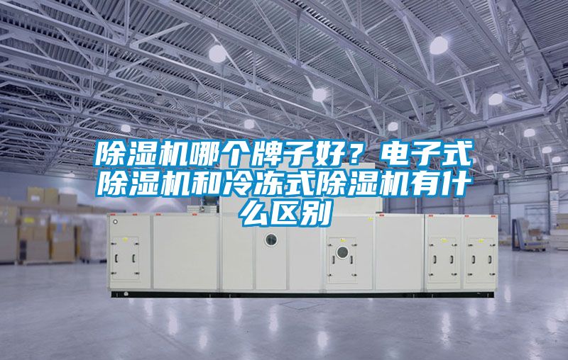 除濕機哪個牌子好？電子式除濕機和冷凍式除濕機有什么區別
