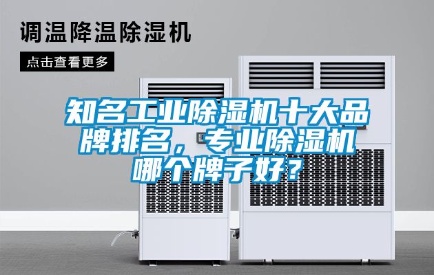 知名工業(yè)除濕機(jī)十大品牌排名，專(zhuān)業(yè)除濕機(jī)哪個(gè)牌子好？