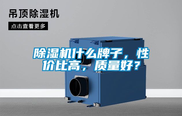 除濕機什么牌子，性價比高，質(zhì)量好？