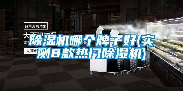 除濕機(jī)哪個牌子好(實(shí)測8款熱門除濕機(jī))