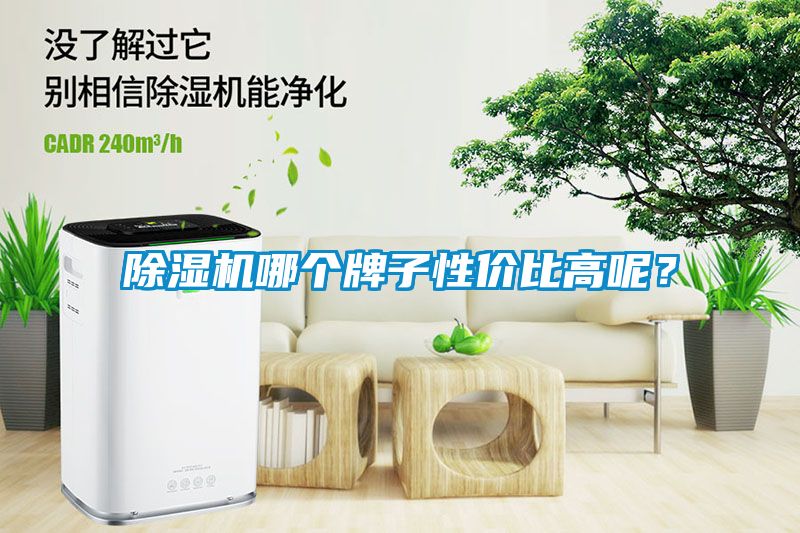 除濕機哪個牌子性價比高呢？