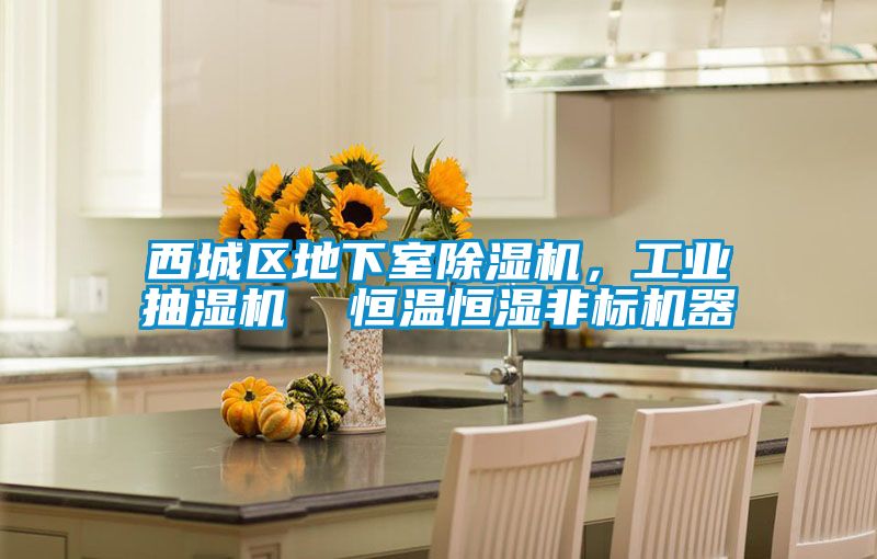 西城區地下室除濕機，工業抽濕機  恒溫恒濕非標機器