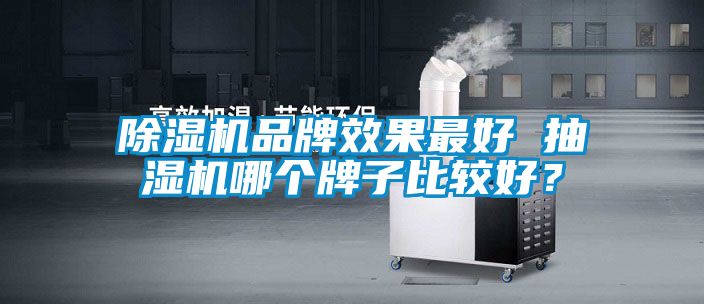 除濕機(jī)品牌效果最好 抽濕機(jī)哪個牌子比較好？