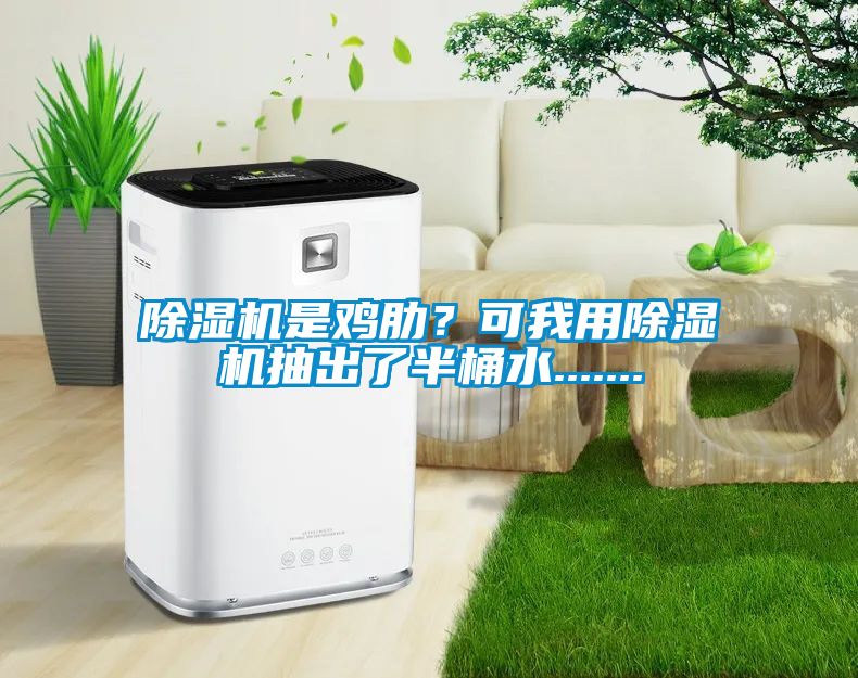 除濕機是雞肋？可我用除濕機抽出了半桶水.......