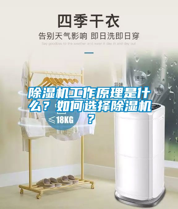 除濕機工作原理是什么？如何選擇除濕機？