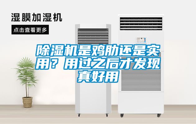 除濕機是雞肋還是實用？用過之后才發現真好用
