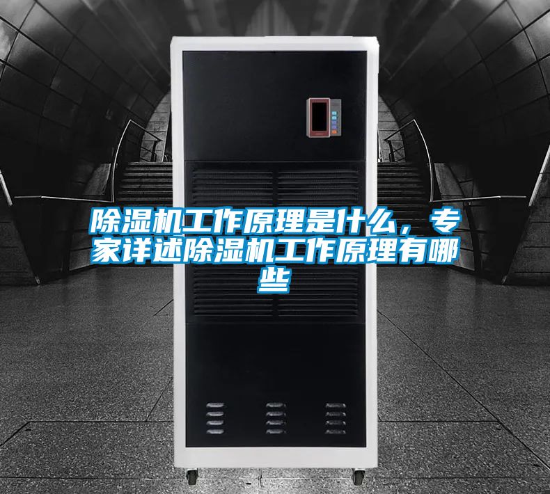 除濕機工作原理是什么，專家詳述除濕機工作原理有哪些