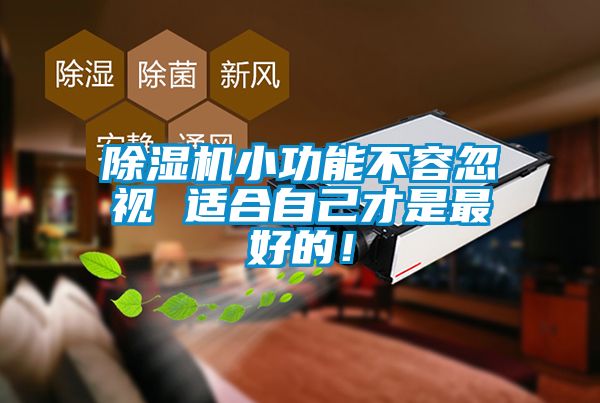 除濕機(jī)小功能不容忽視 適合自己才是最好的！
