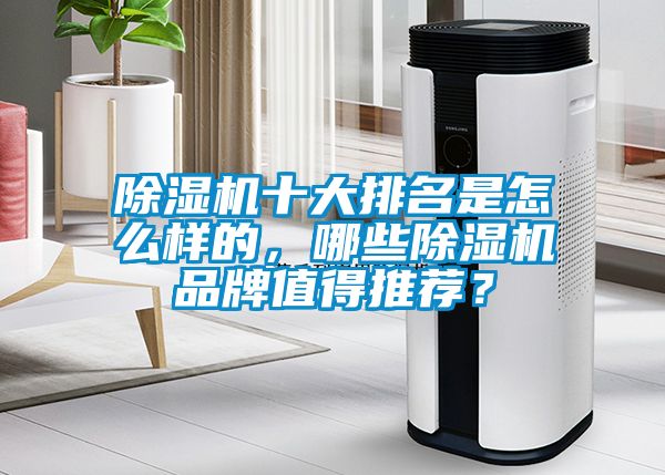 除濕機十大排名是怎么樣的，哪些除濕機品牌值得推薦？