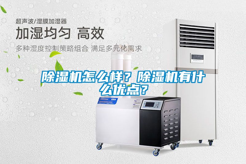 除濕機怎么樣？除濕機有什么優點？