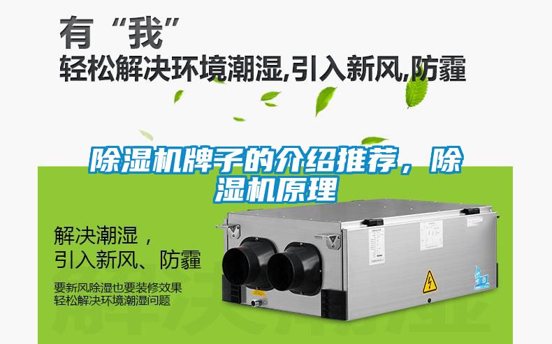 除濕機牌子的介紹推薦，除濕機原理