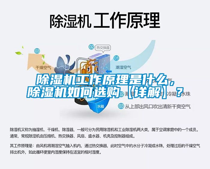 除濕機工作原理是什么，除濕機如何選購【詳解】？