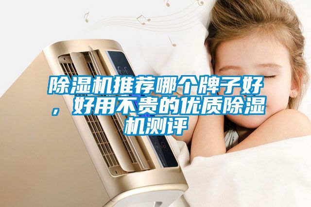 除濕機(jī)推薦哪個(gè)牌子好，好用不貴的優(yōu)質(zhì)除濕機(jī)測評