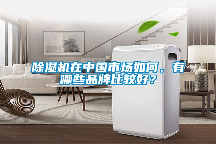 除濕機在中國市場如何，有哪些品牌比較好？